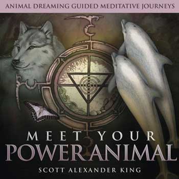 CD: Meet your Power Animal (king) - Click Image to Close